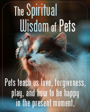 The Spiritual Wisdom of Pets - Print Version