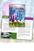 Release and Renew 2022: A Spiritual Practice for Lent - Downloadable Version