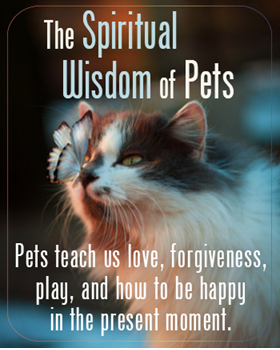 The Spiritual Wisdom of Pets - Print Version