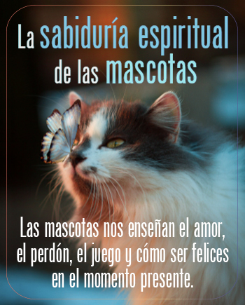 The Spiritual Wisdom of Pets Print Version Spanish